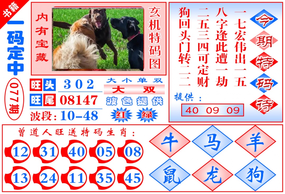 077期澳门定乾坤[图]