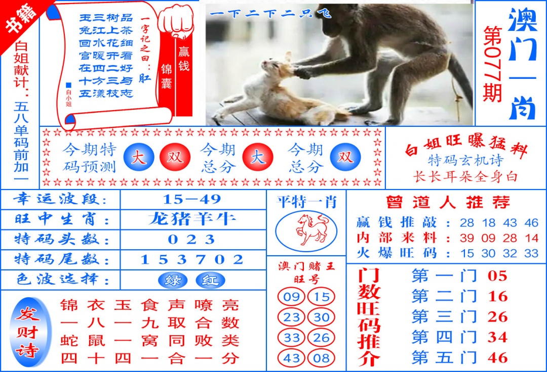 077期澳门东北虎[图]